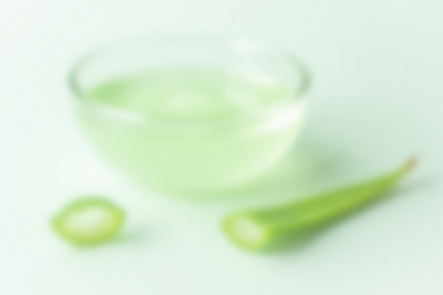 Aloe Vera Pflege – Frische Aloe Vera Pflanze mit grünen Blättern