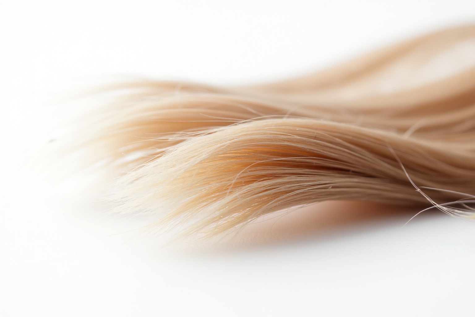 Spliss loswerden – Haare mit Splissenden und Pflegeprodukten